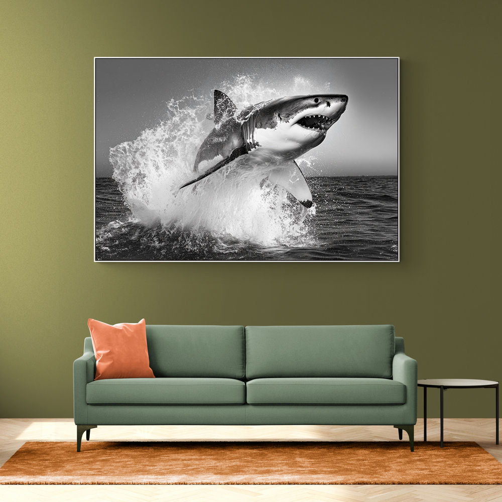 Shark Power Shark Power
