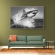 Shark Power Shark Power