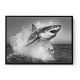 Shark Power Shark Power
