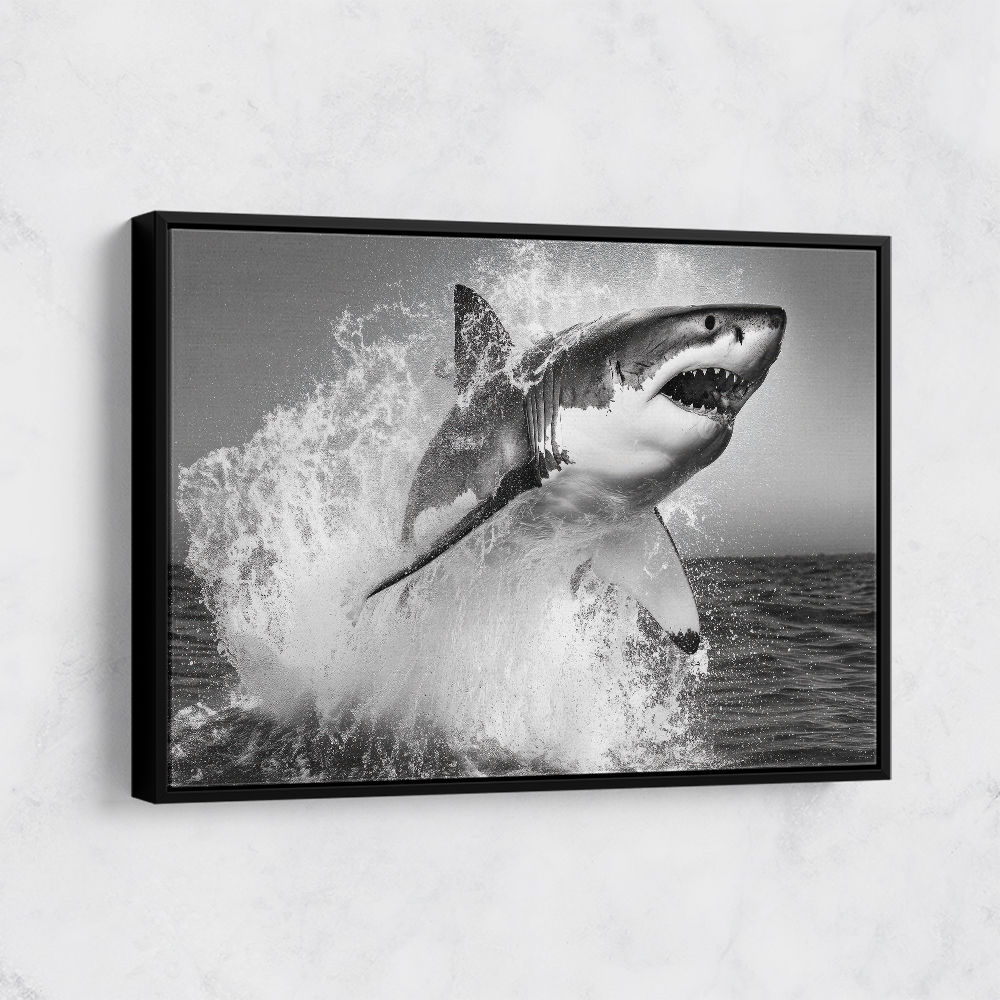 Shark Power Shark Power