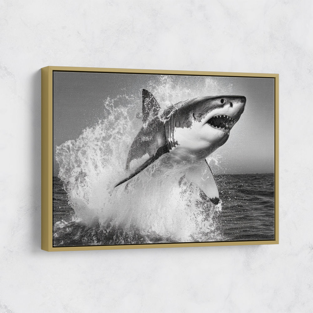 Shark Power Shark Power