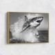 Shark Power Shark Power