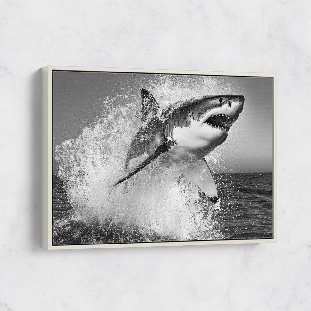 Shark Power Shark Power