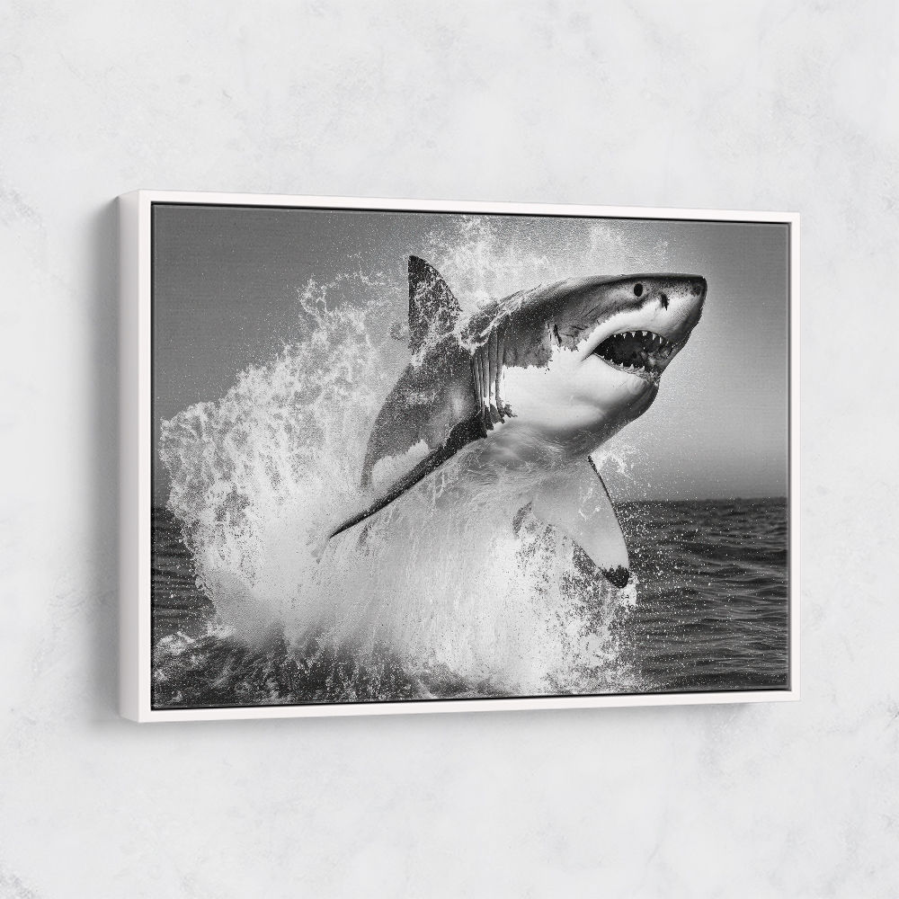 Shark Power Shark Power