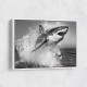 Shark Power Shark Power