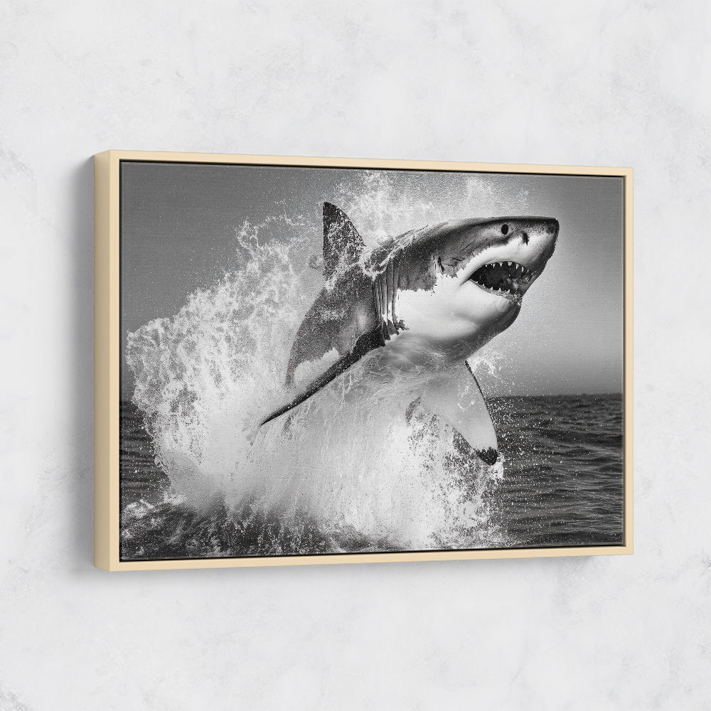 Shark Power Shark Power