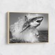 Shark Power Shark Power