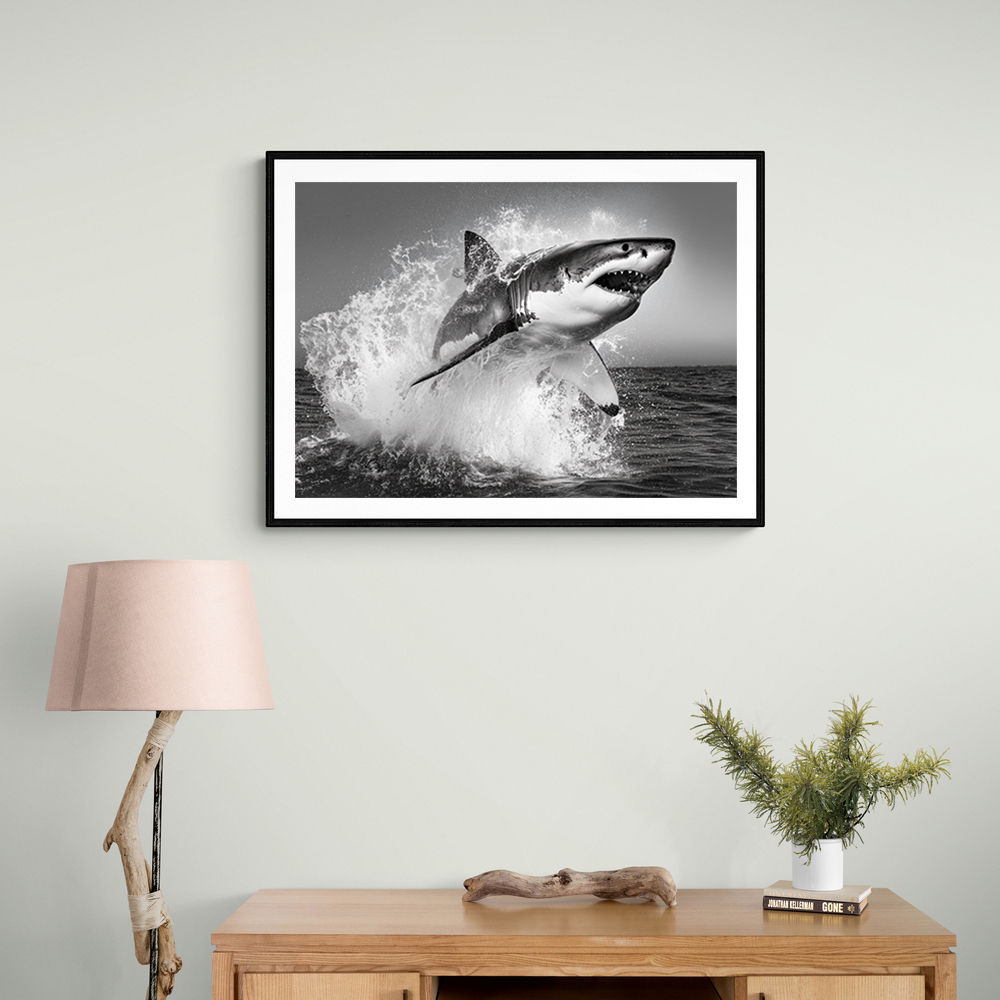 Shark Power Shark Power