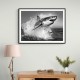 Shark Power Shark Power