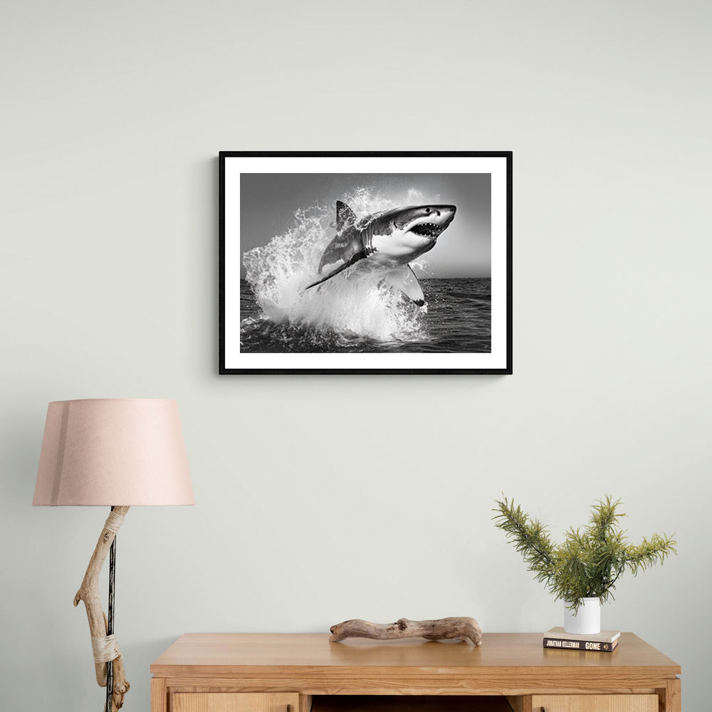 Shark Power Shark Power
