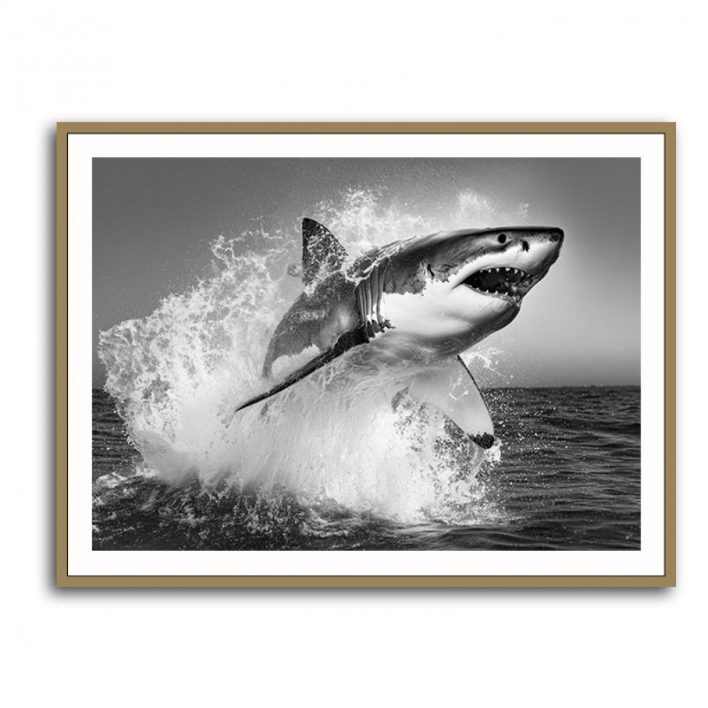 Shark Power Shark Power
