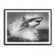 Shark Power Shark Power