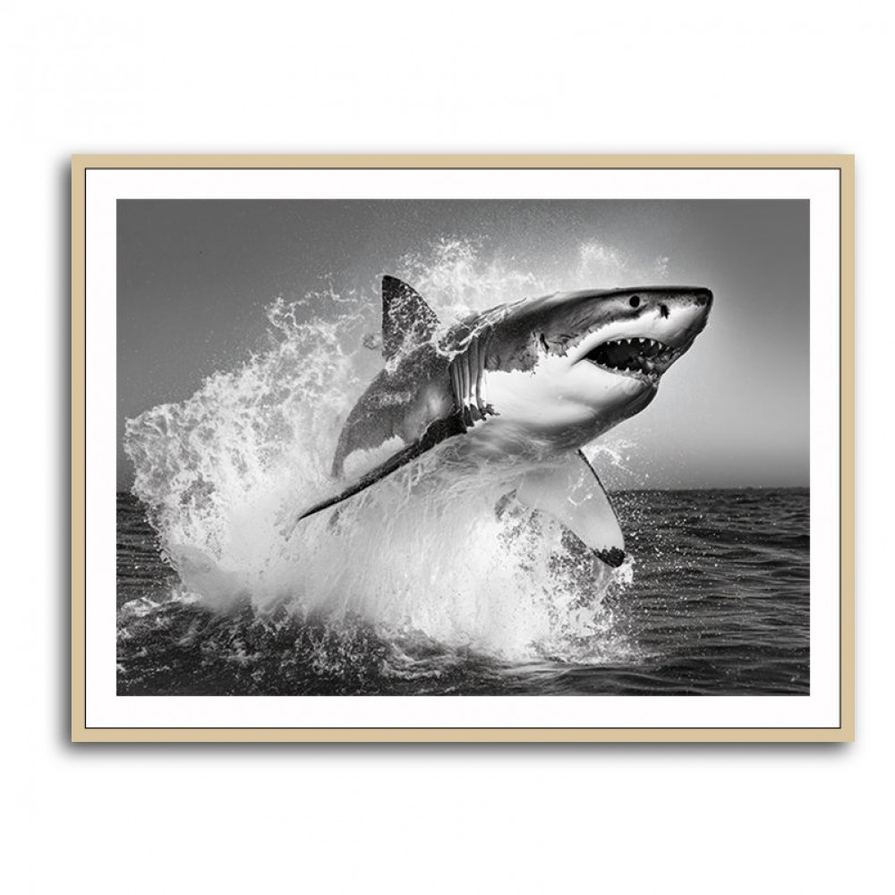 Shark Power Shark Power