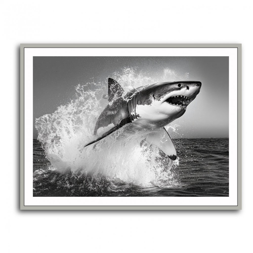 Shark Power Shark Power