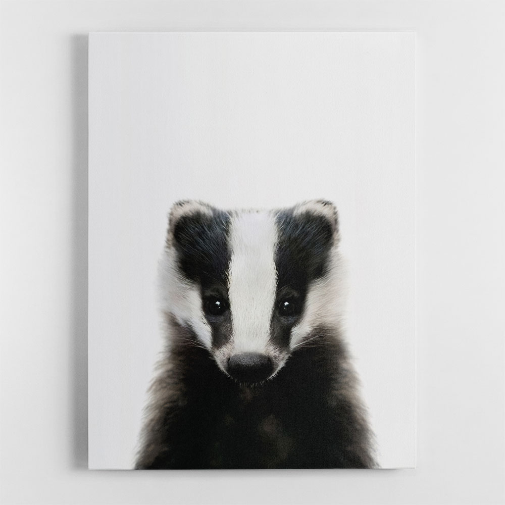 Baby Badger