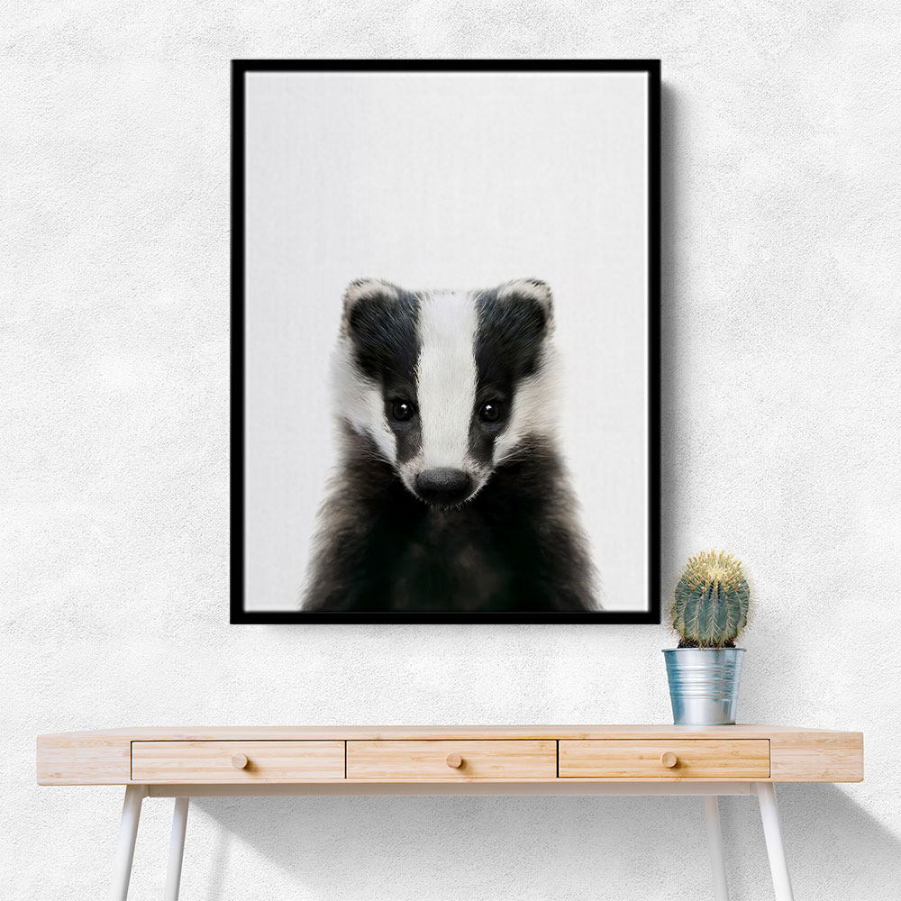 Baby Badger