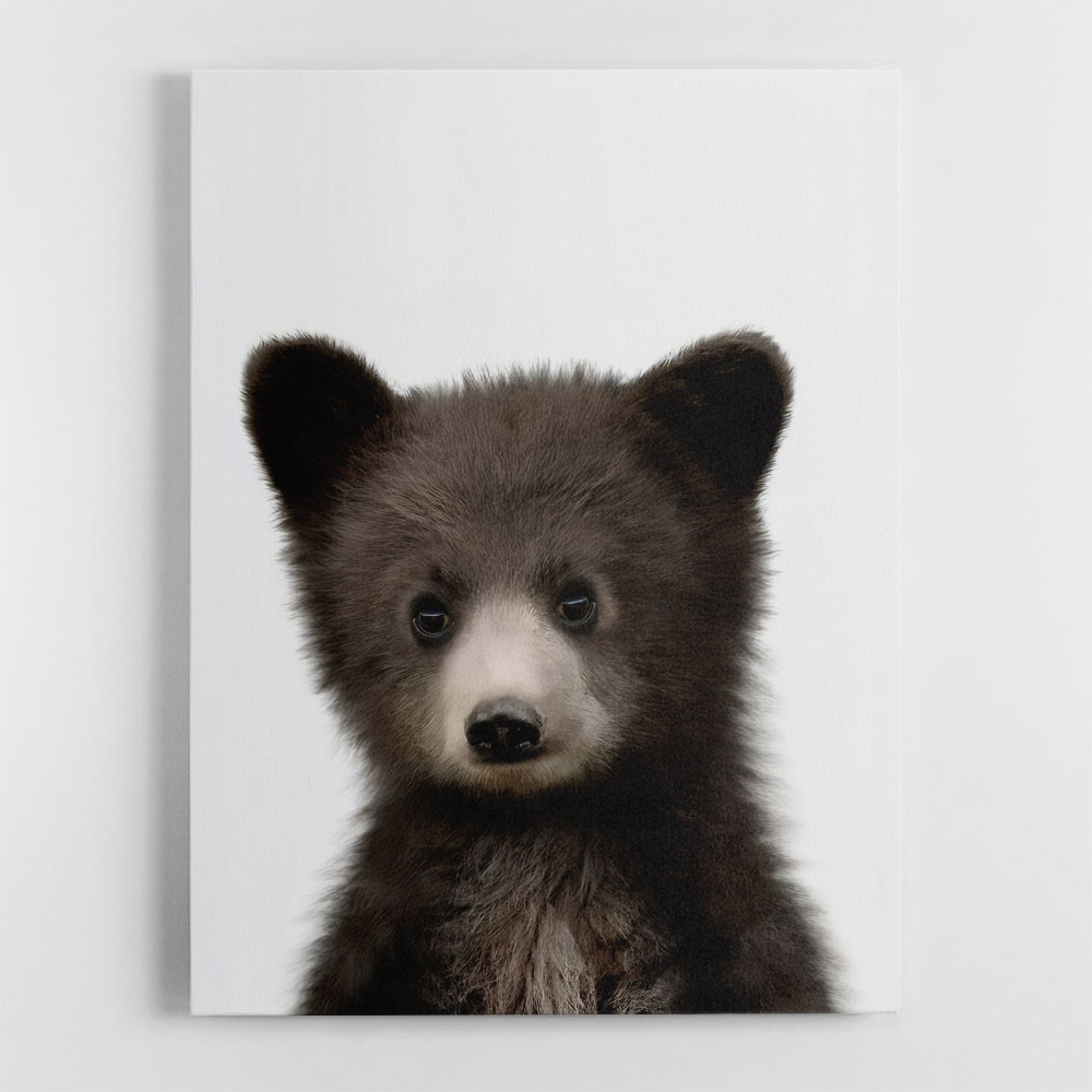 Baby Bear Wall Art