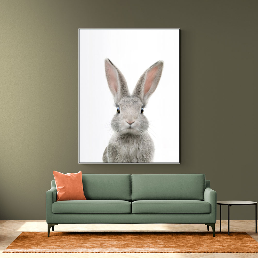 Baby Grey Bunny