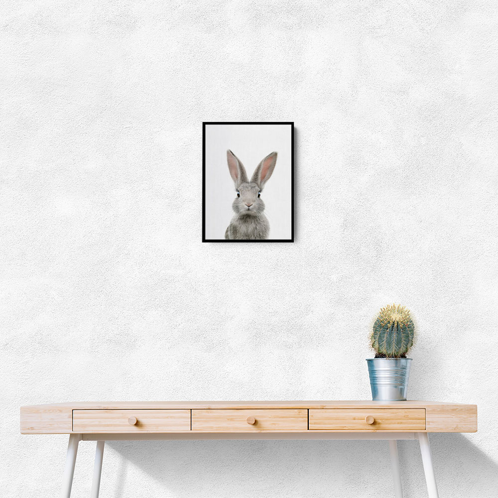 Baby Grey Bunny Baby Grey Bunny