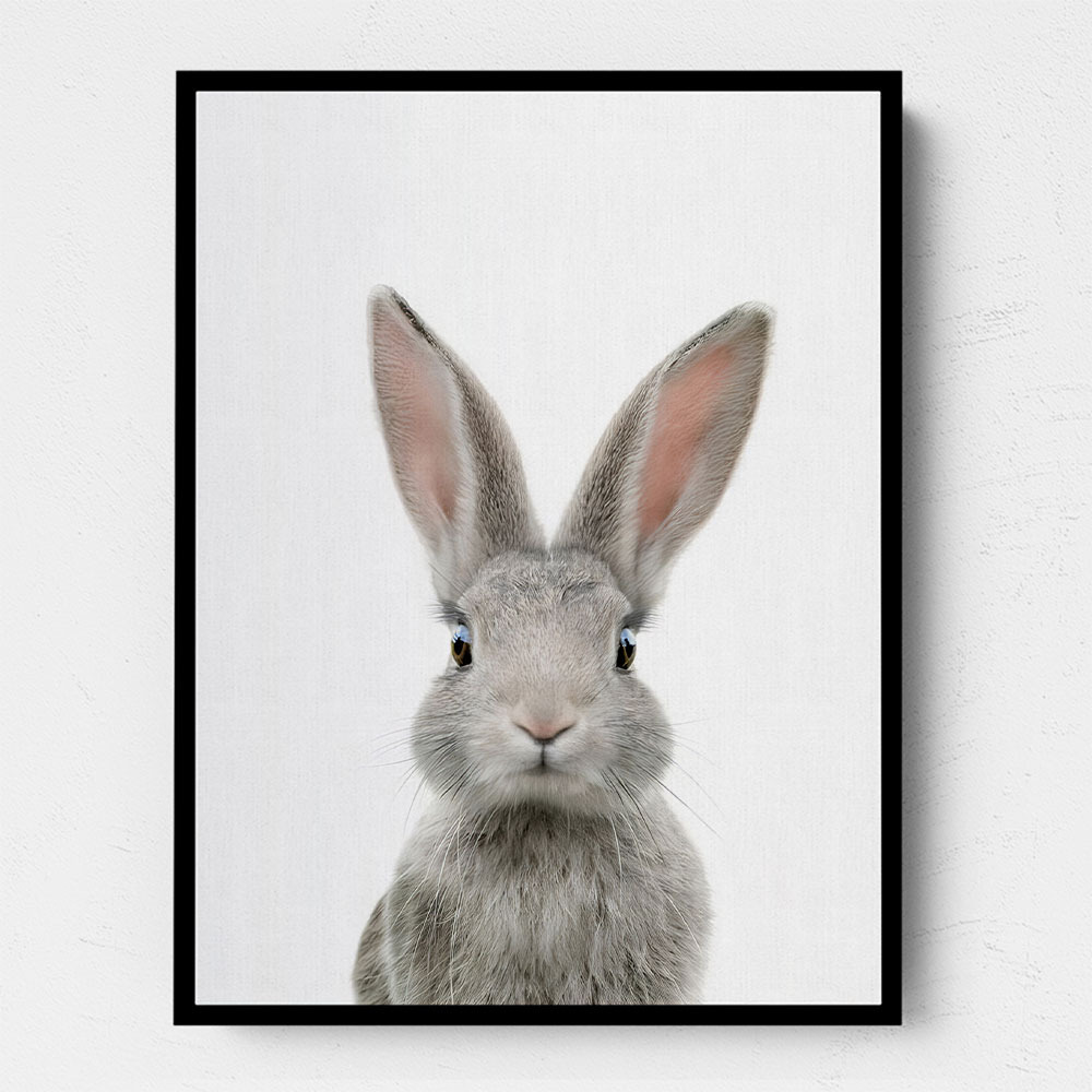 Baby Grey Bunny