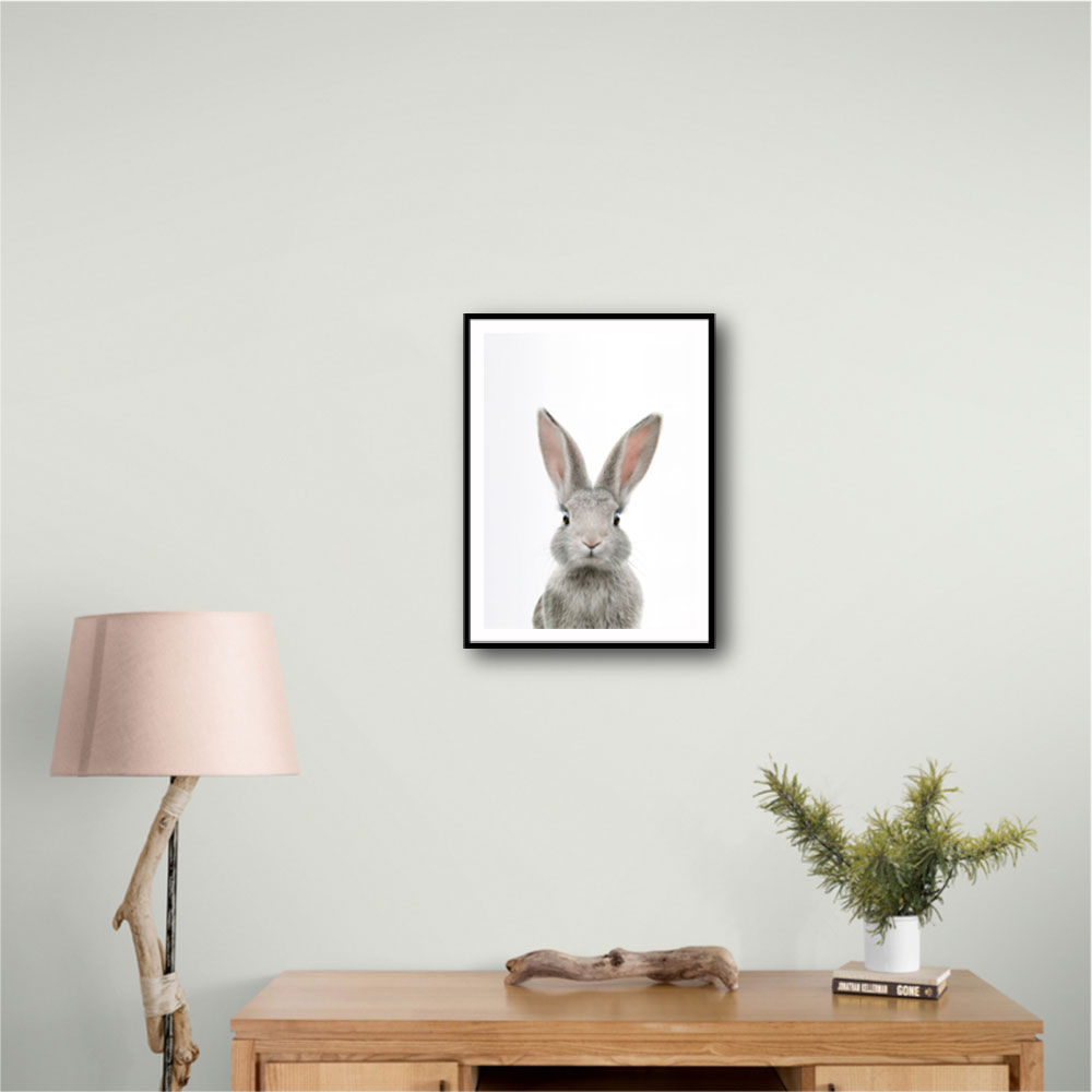 Baby Grey Bunny Baby Grey Bunny