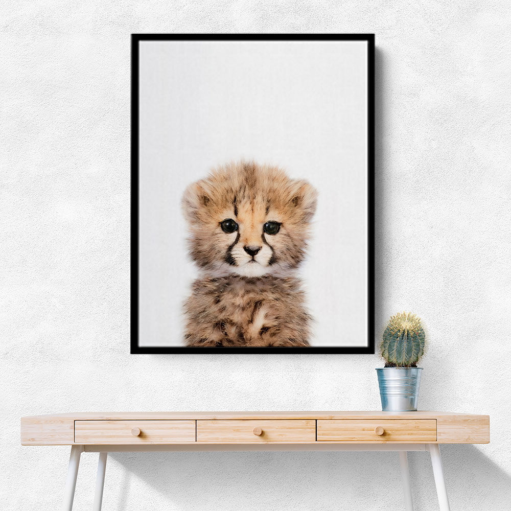 Baby Cheetah