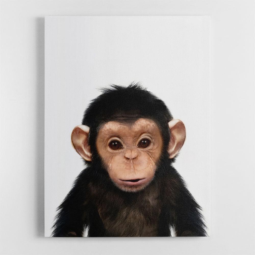 Baby Chimp