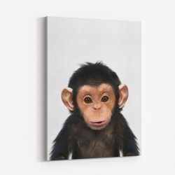 Baby Chimp