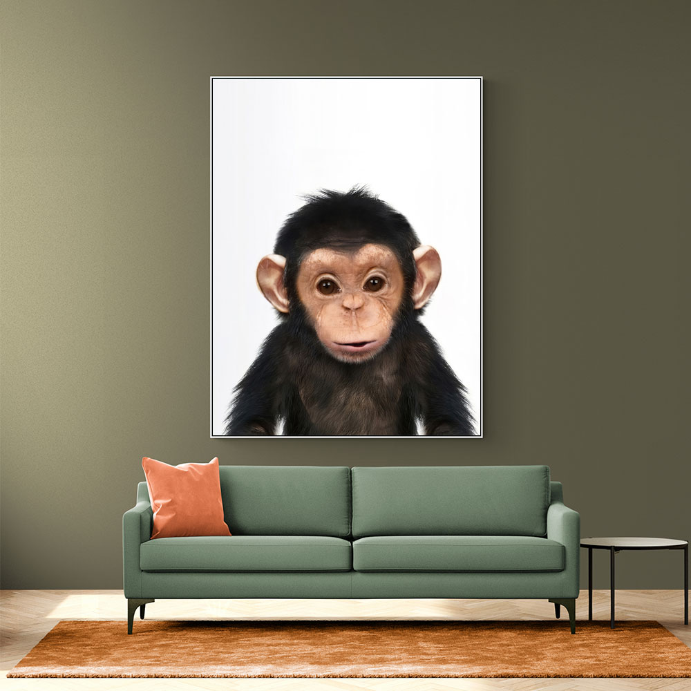 Baby Chimp