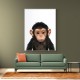 Baby Chimp