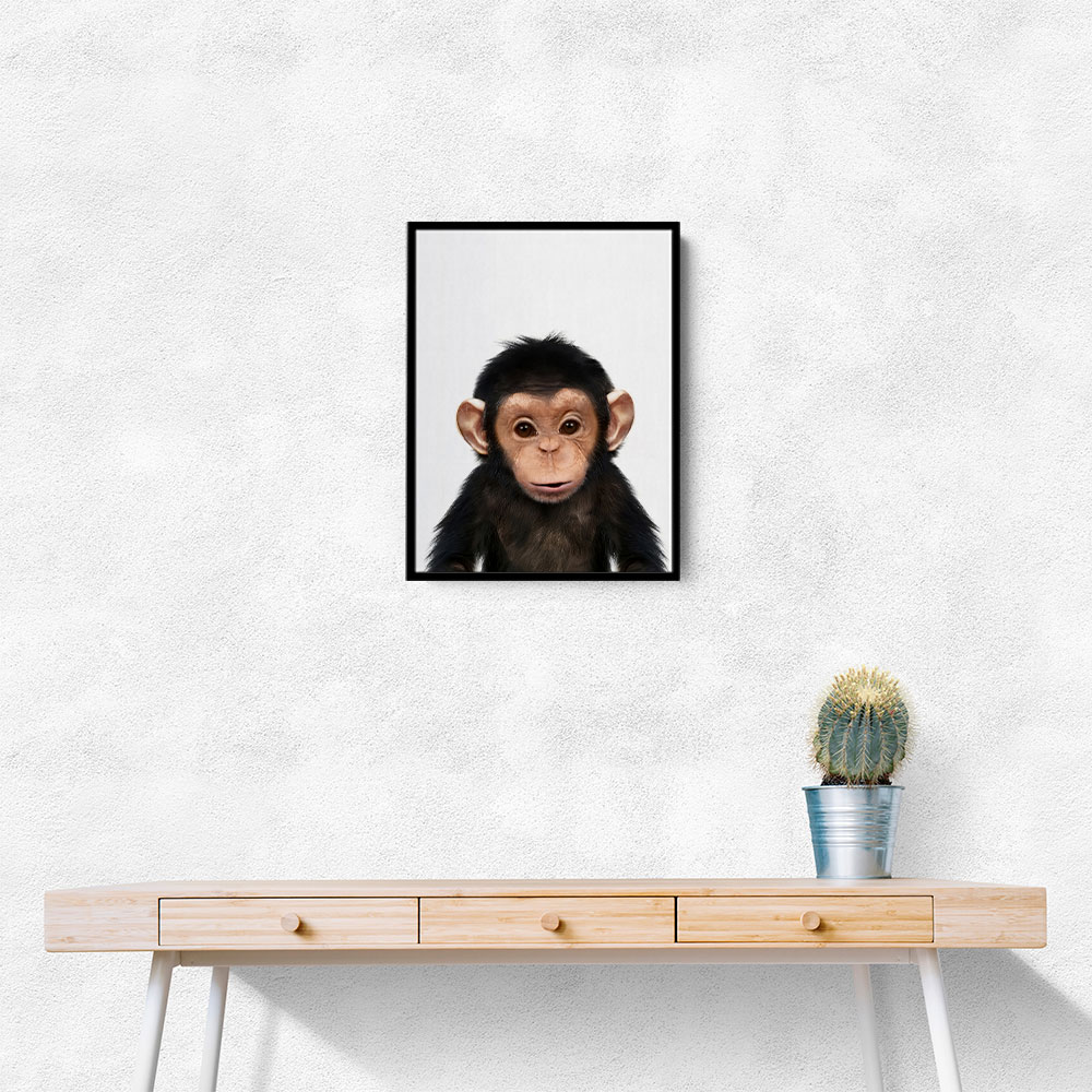 Baby Chimp