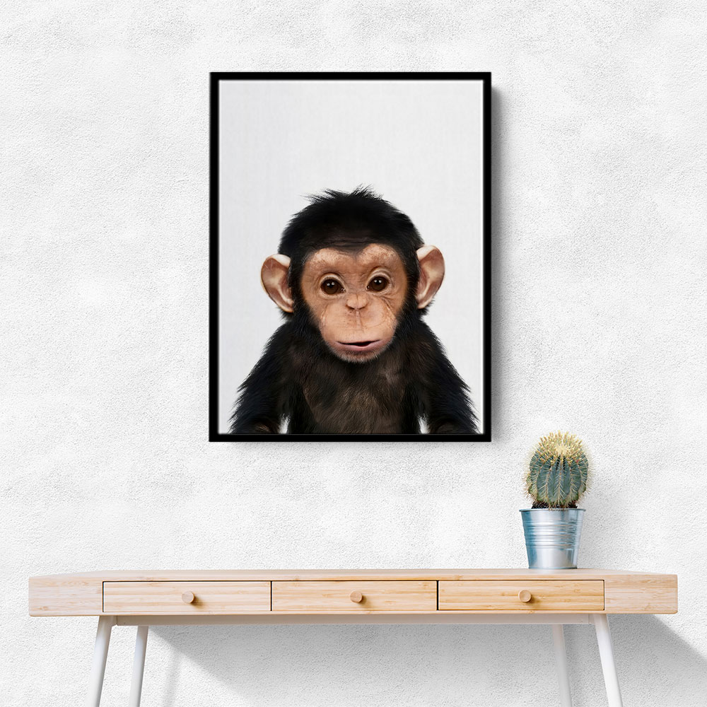 Baby Chimp