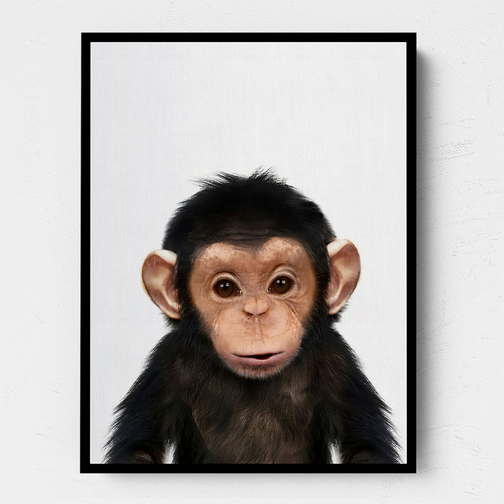 Baby Chimp