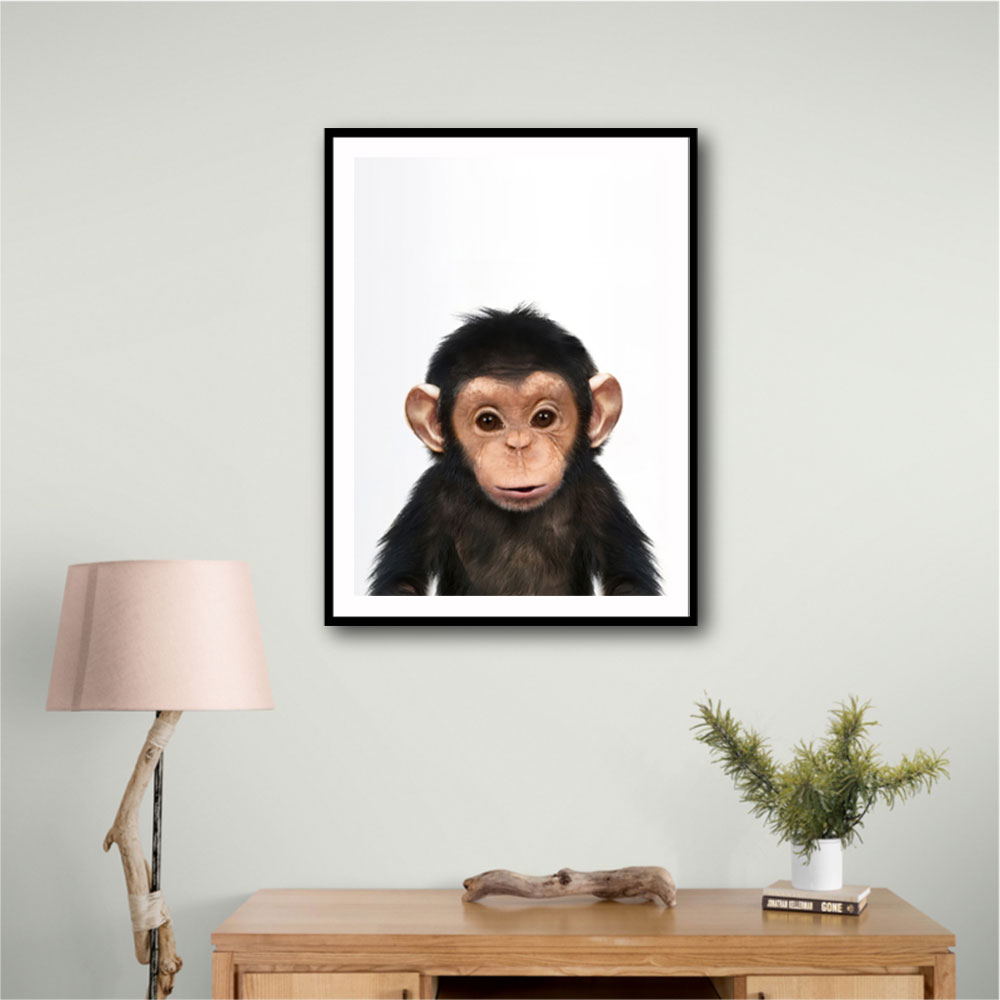 Baby Chimp