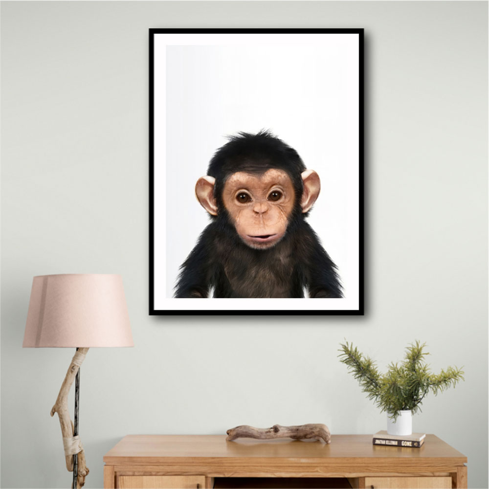 Baby Chimp