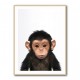 Baby Chimp