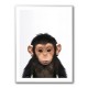 Baby Chimp