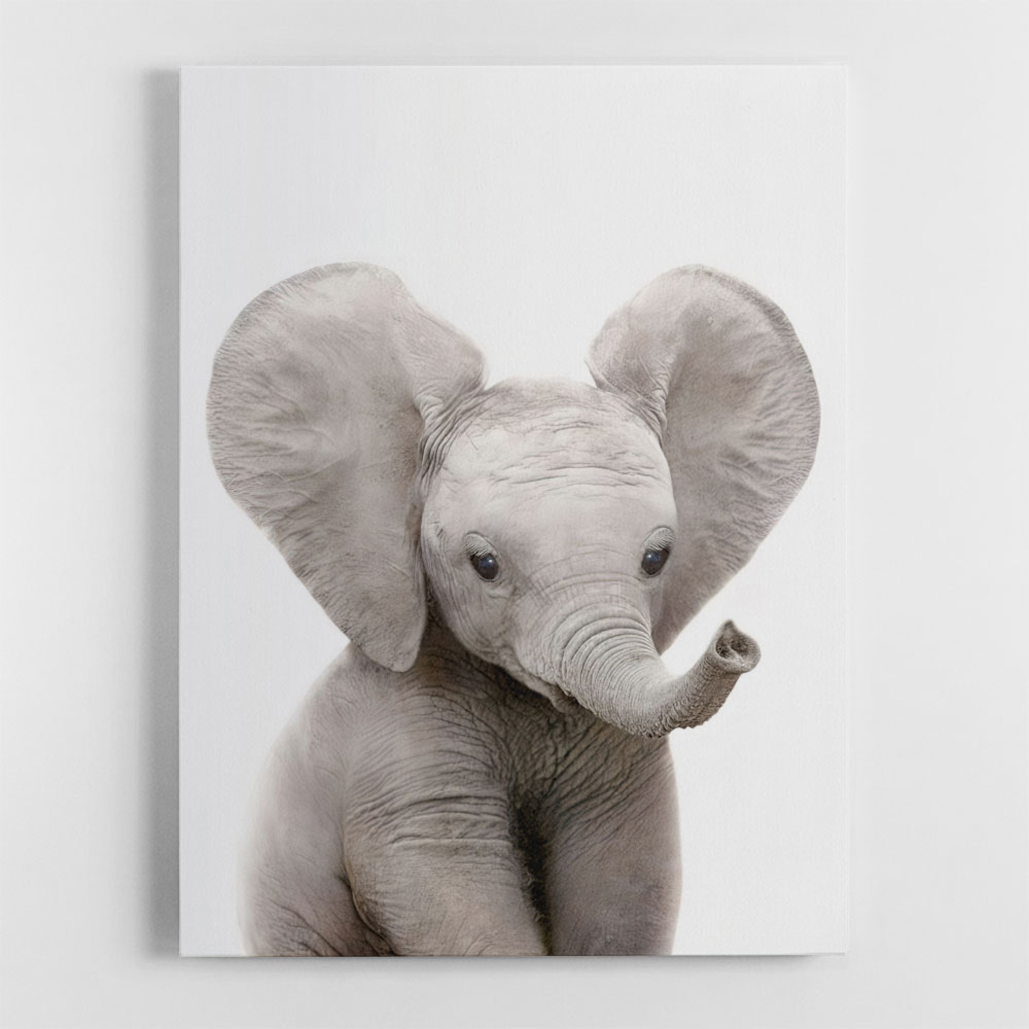 Baby Elephant Wall Art