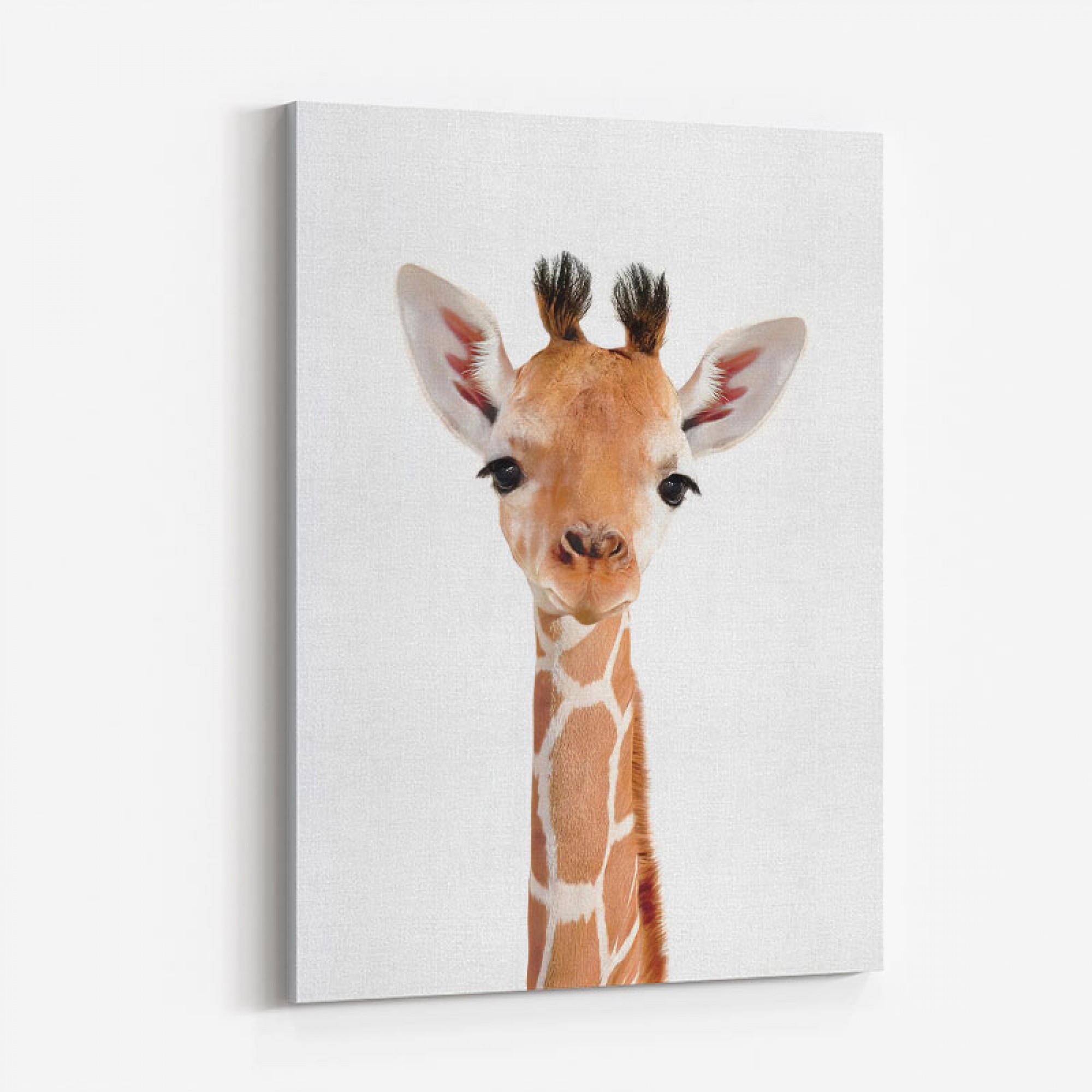 Baby Giraffe Wall Art