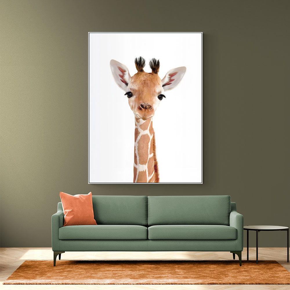 Baby Giraffe