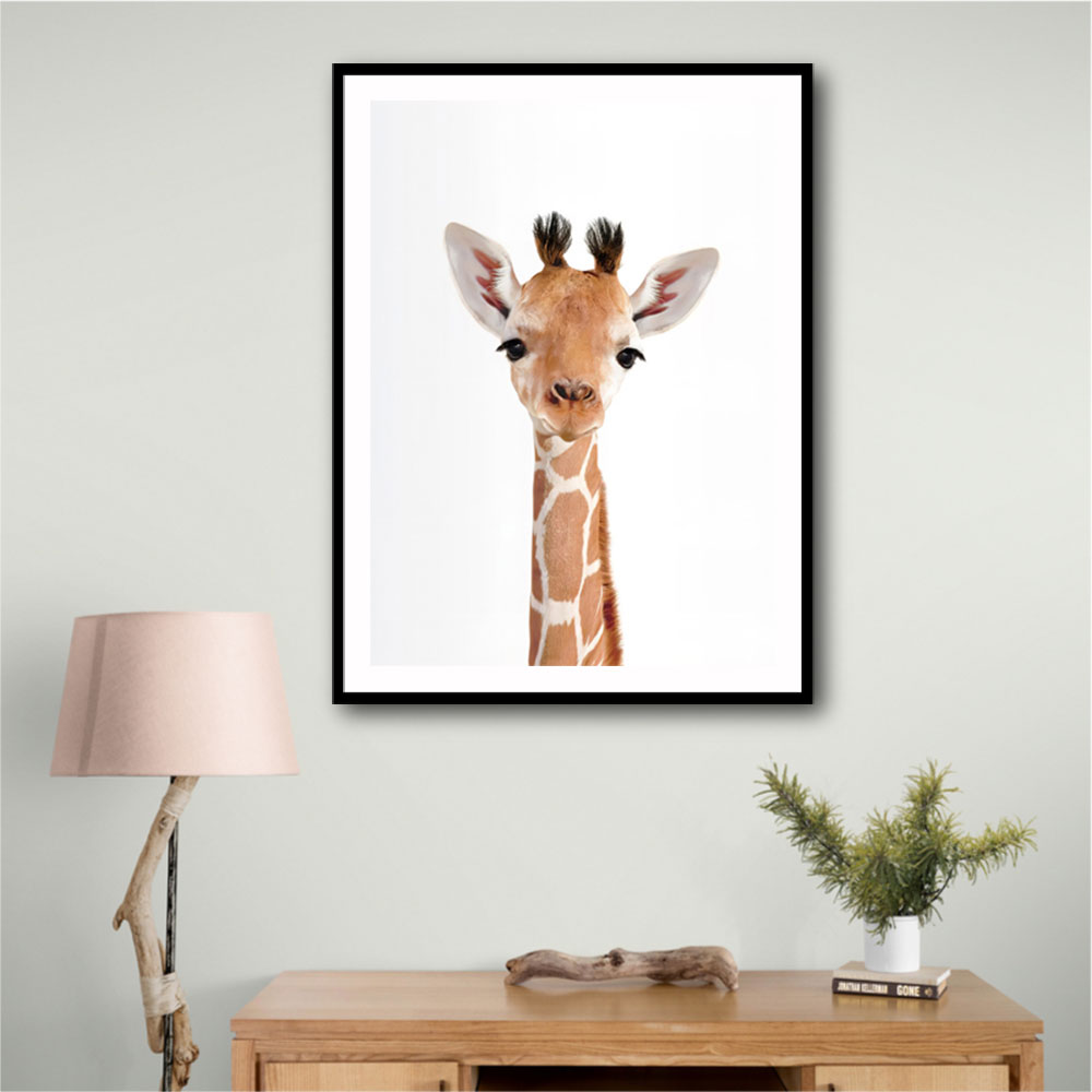 Baby Giraffe