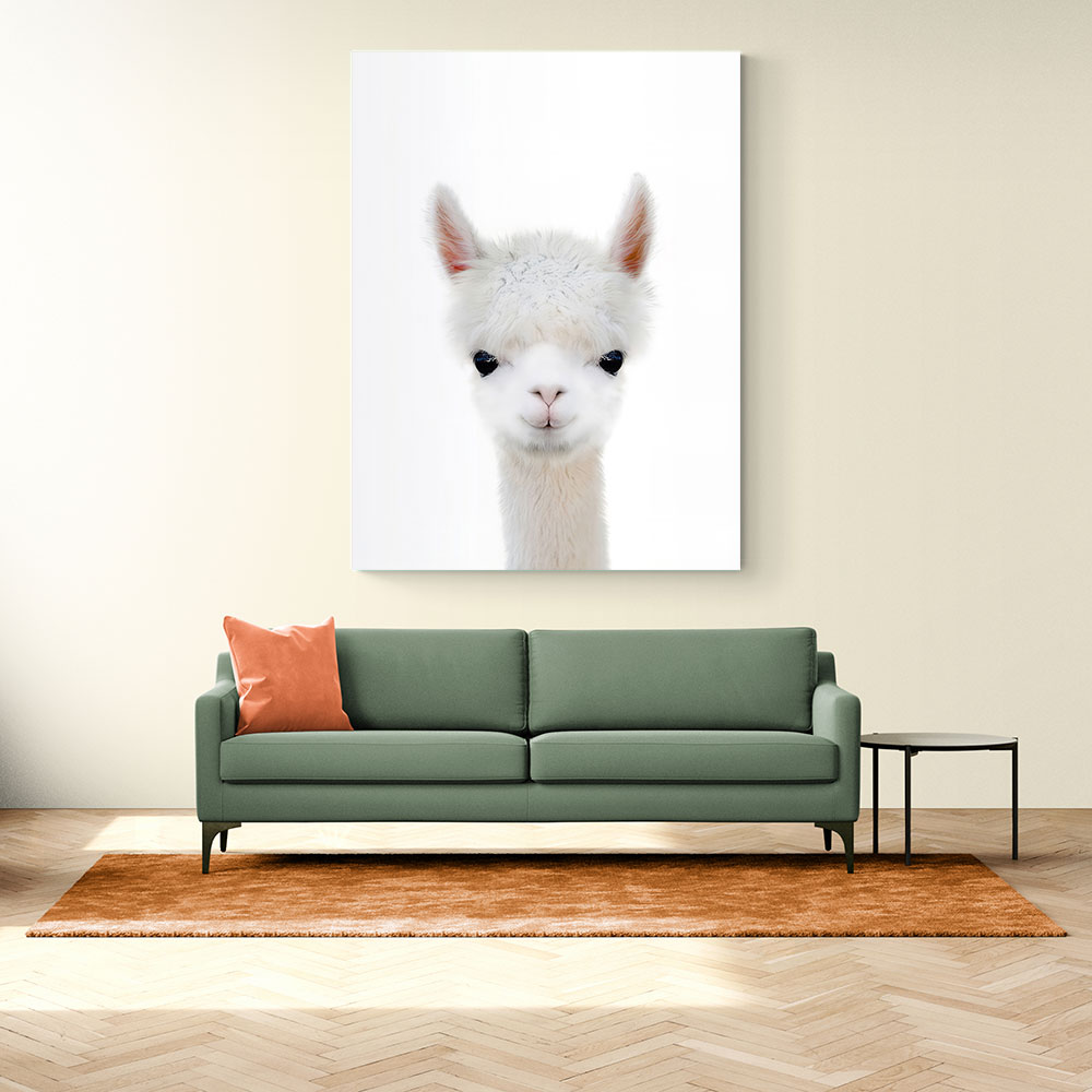 Baby Llama