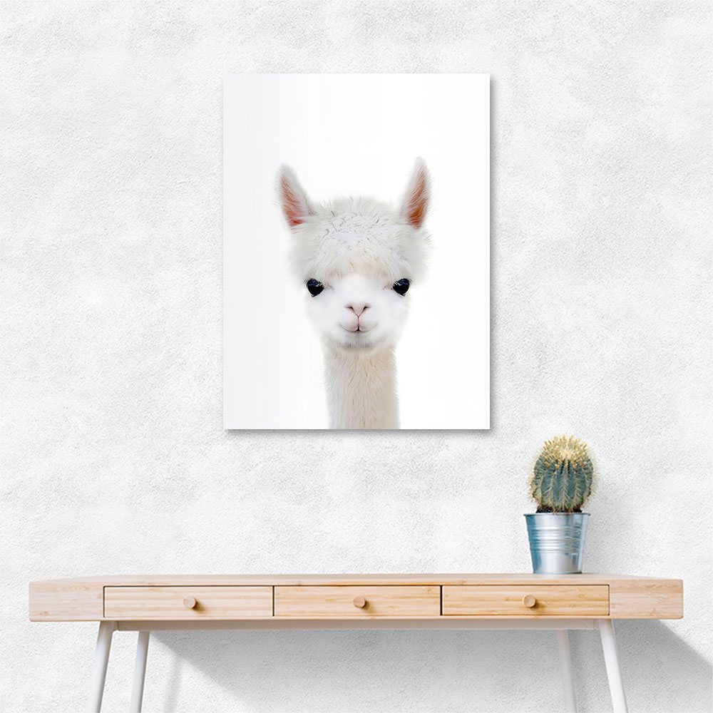 Baby Llama