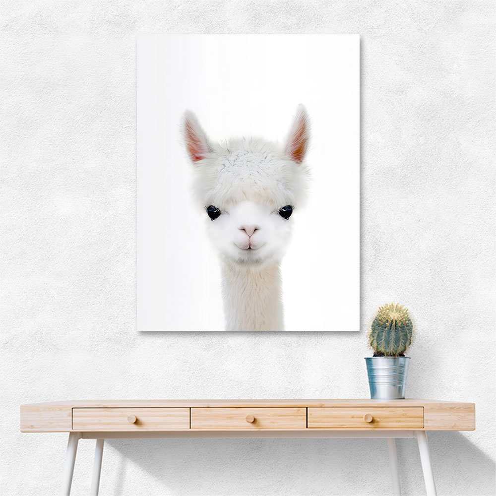 Baby Llama