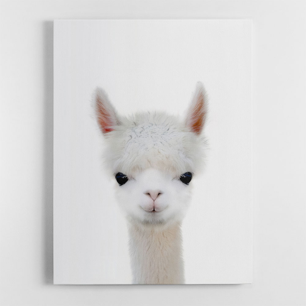 Baby Llama