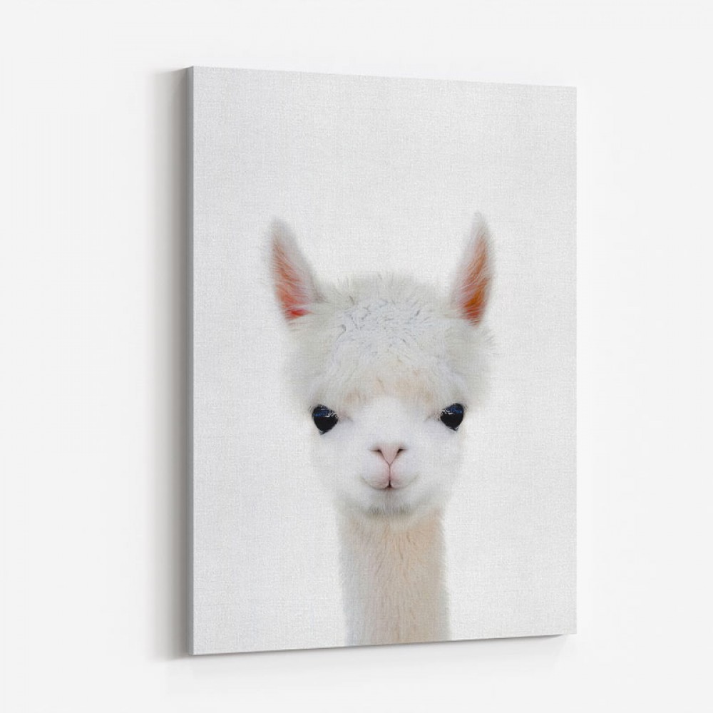 Baby Llama