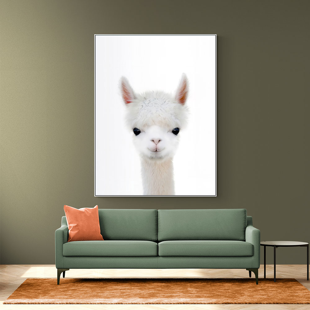 Baby Llama