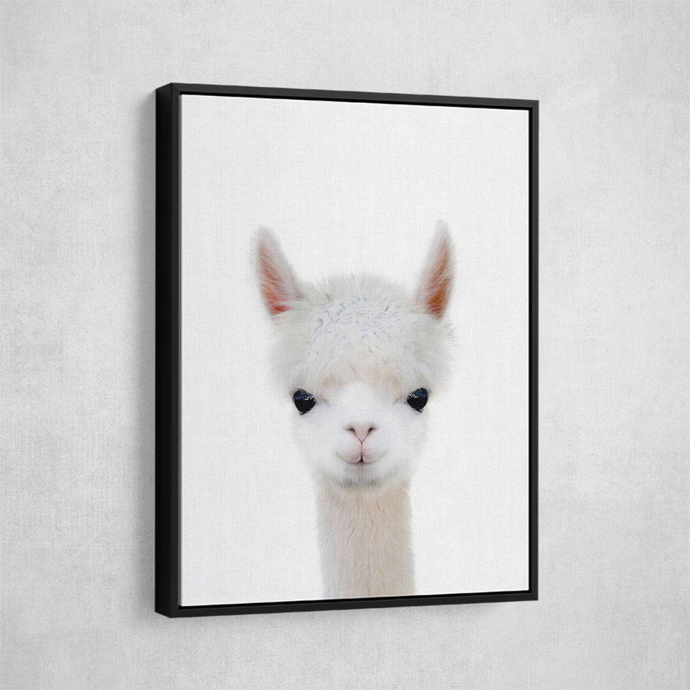 Baby Llama