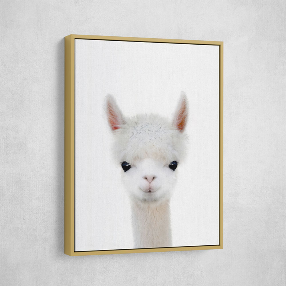 Baby Llama