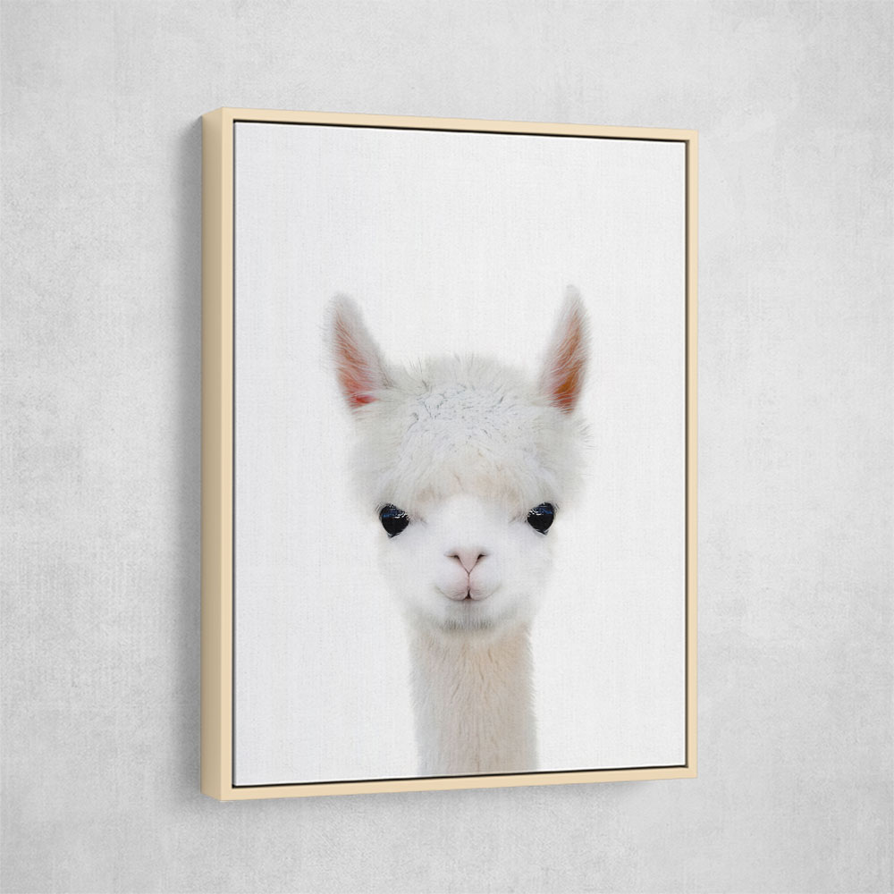 Baby Llama